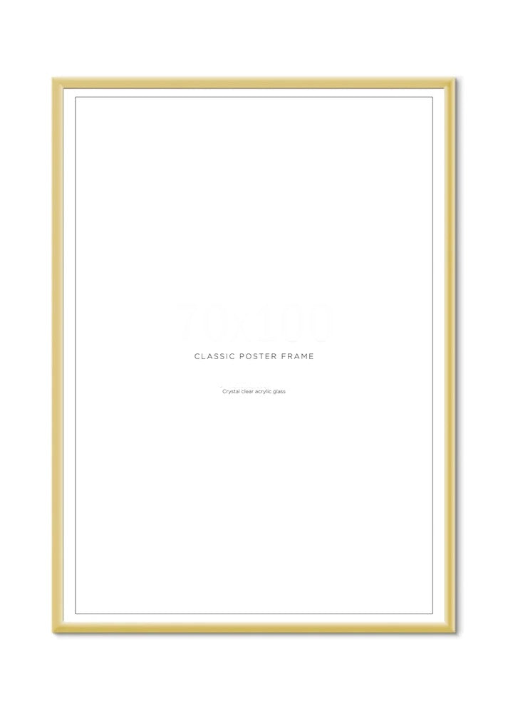 Gold Metal Frames